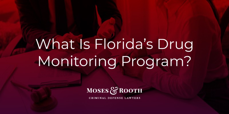 Floridas drug monitoring program