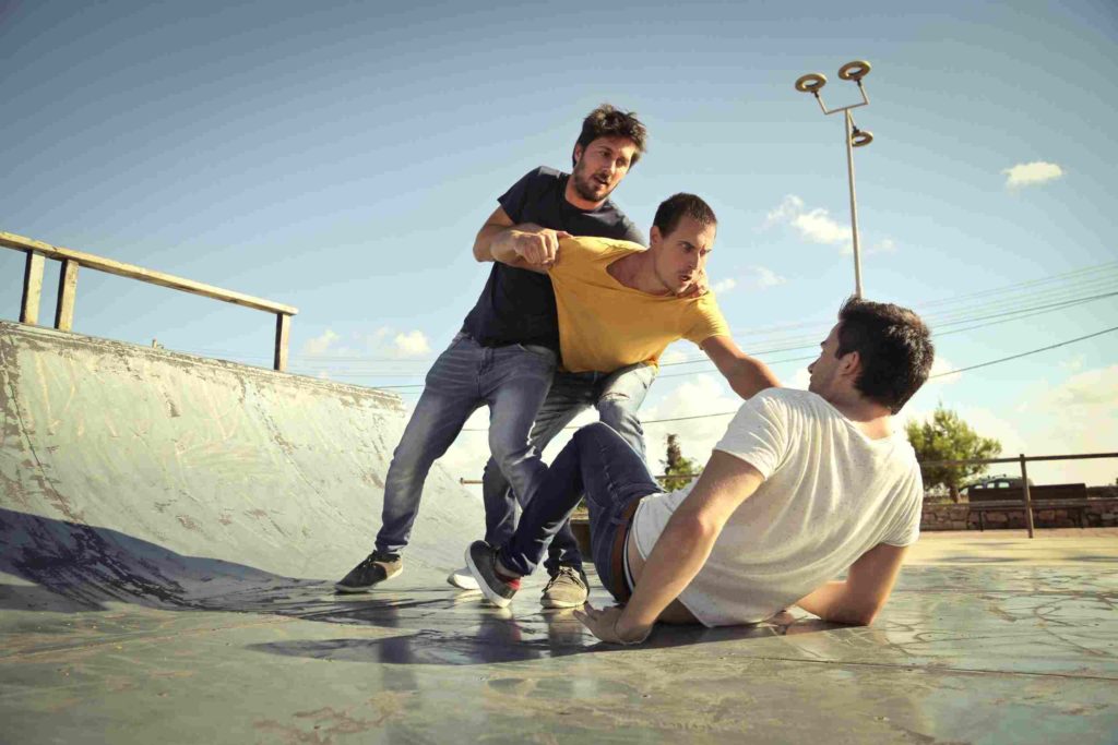 what is domestic battery
